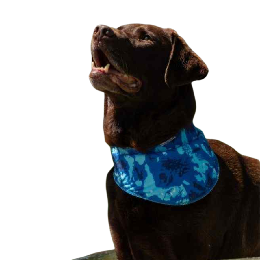 Flamingo Bandana Refrigerante Fresk Vrio L Azul